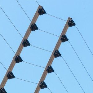 cerco-electrico cerco-electrico